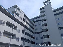 エバーグリーン川口