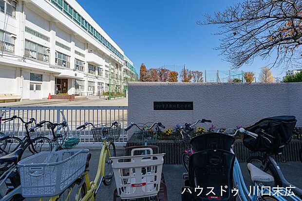 川口市立朝日東小学校教育目標に「豊かな心」を掲げる地域密着の学び舎。通学路の安全性も高く、お子様が元気に登校できる環境が魅力です。学校と地域が連携して見守る体制が整っており、子育て世帯には心強い教…