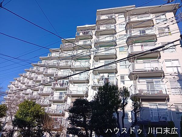 外観：311002502240