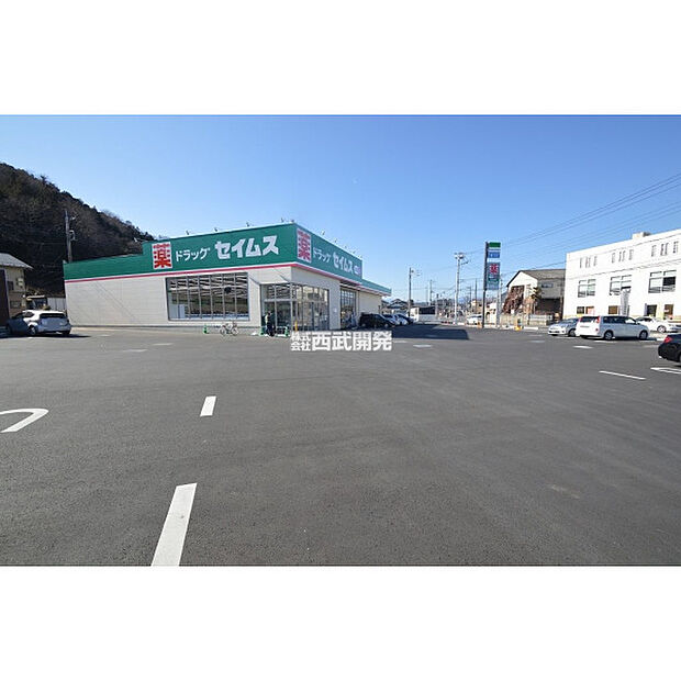 ドラッグセイムス入間仏子店