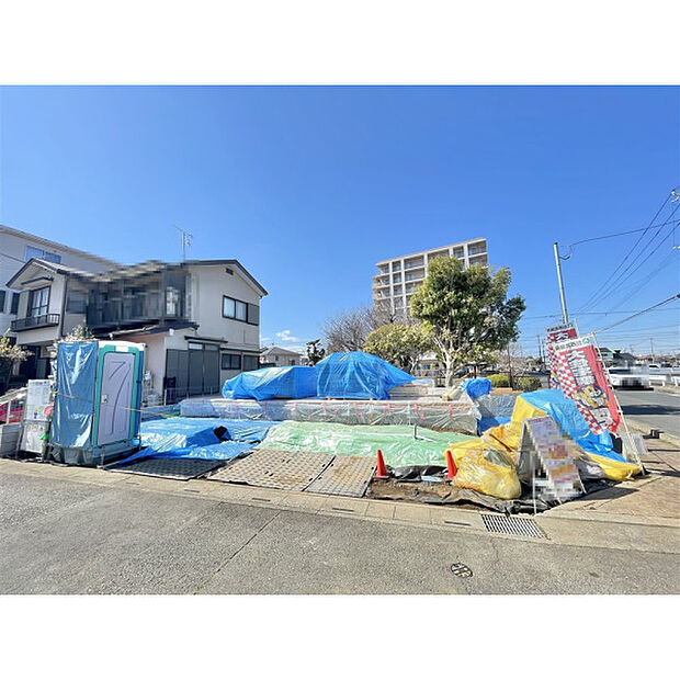 3月12日撮影