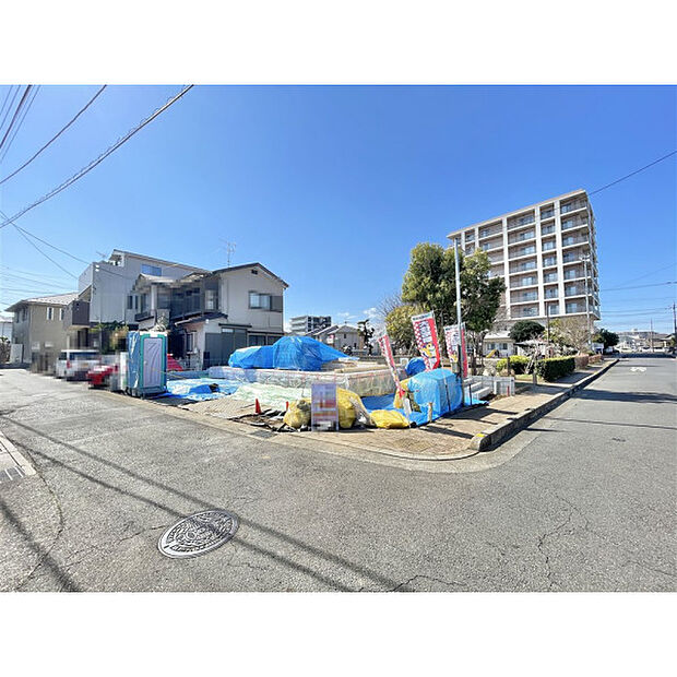 3月12日撮影