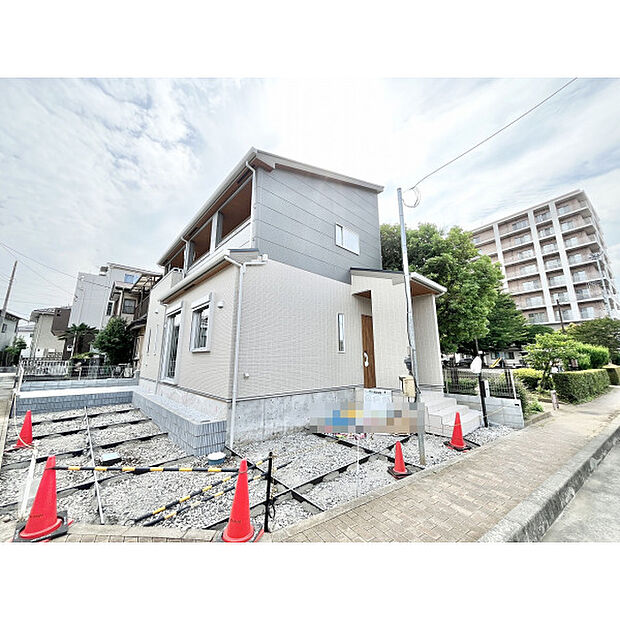 6月11日撮影
