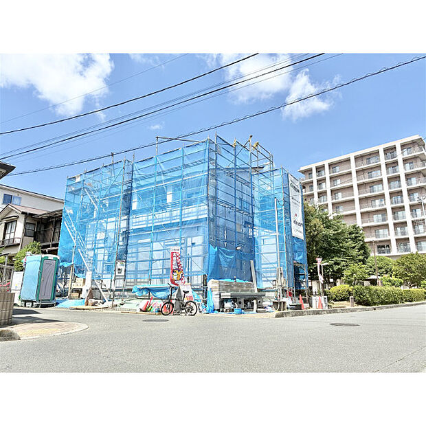 5月11日撮影