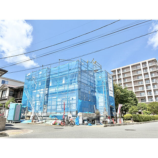 5月11日撮影