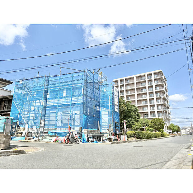 5月11日撮影