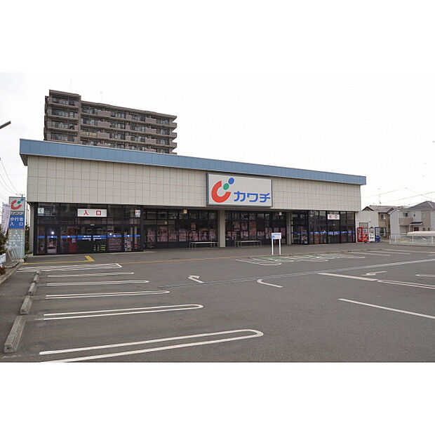 カワチ薬品入間店