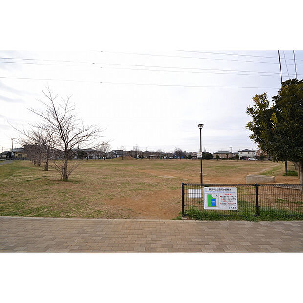 藤沢中央公園