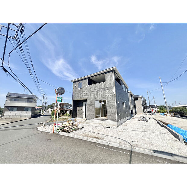 5月3日撮影/現地全体