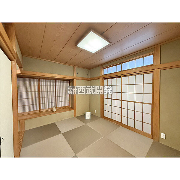 3月12日撮影