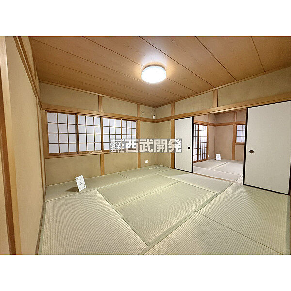 3月12日撮影