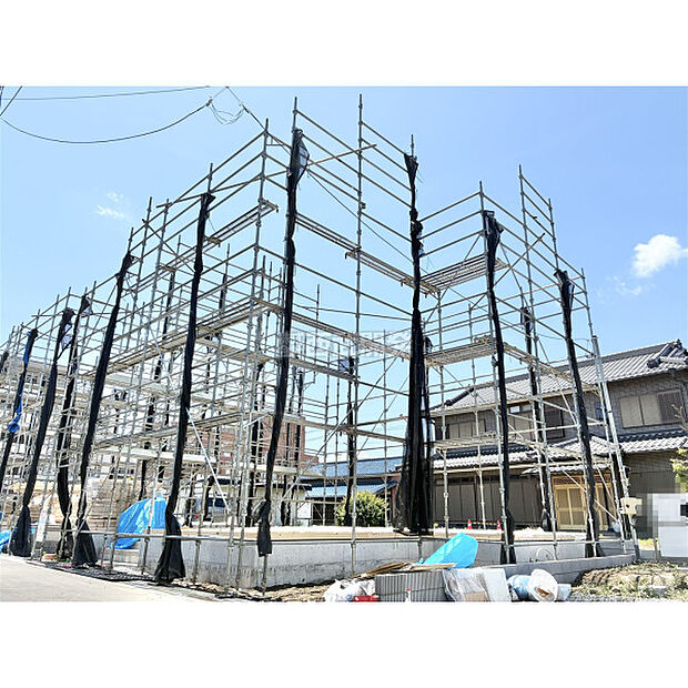 5月15日撮影