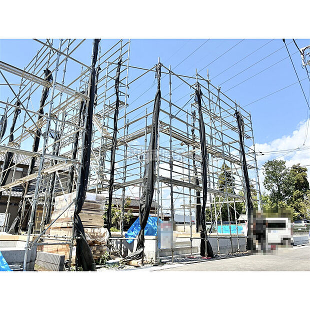 5月15日撮影