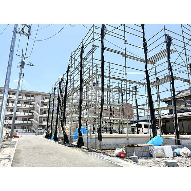 5月15日撮影/現地全体