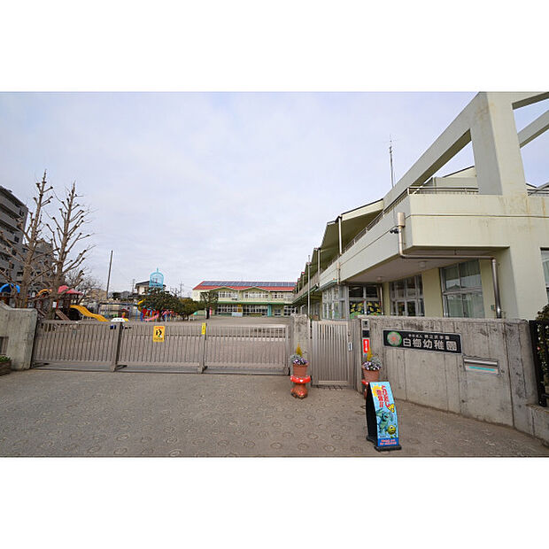 白梅幼稚園