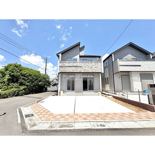 2026年5月11日撮影