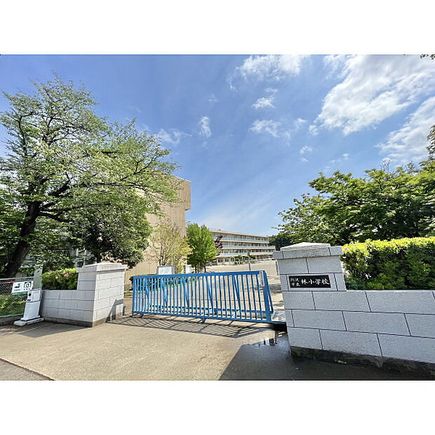 林小学校