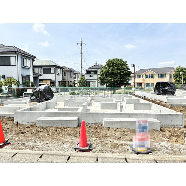 5月25日撮影/現地全体
