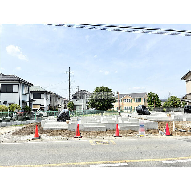 5月25日撮影/現地全体
