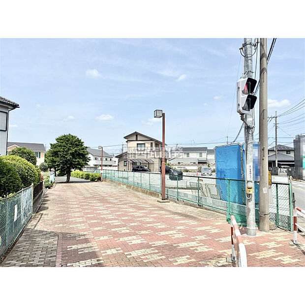 5月25日撮影/現地全体