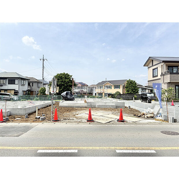 5月25日撮影/現地全体