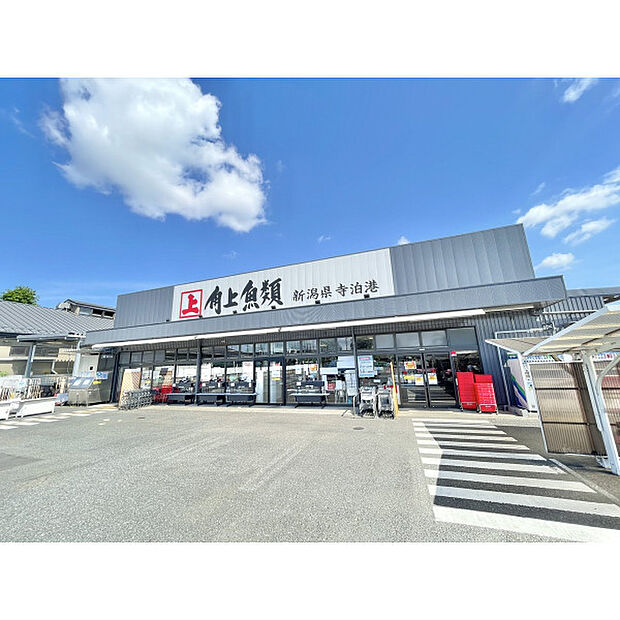 角上魚類所沢店