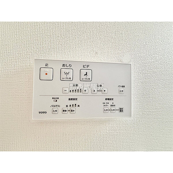 2026年6月撮影