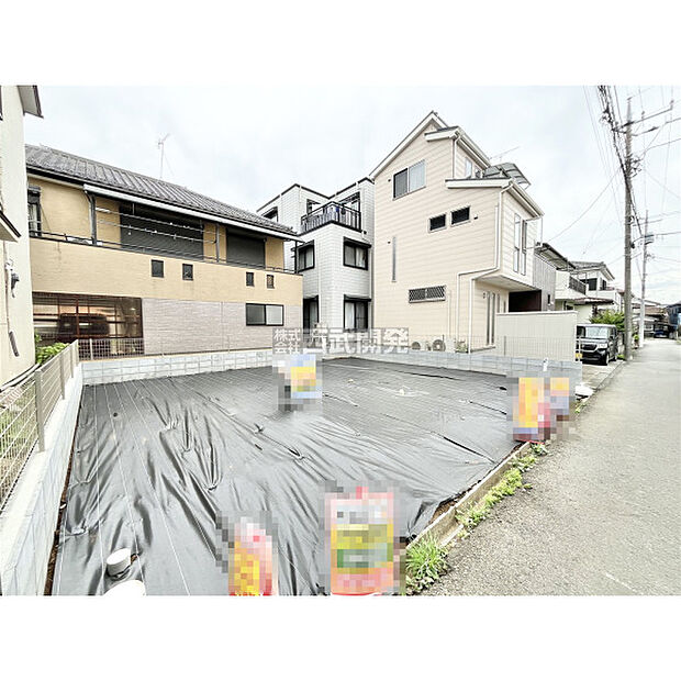 2026年6月22日撮影