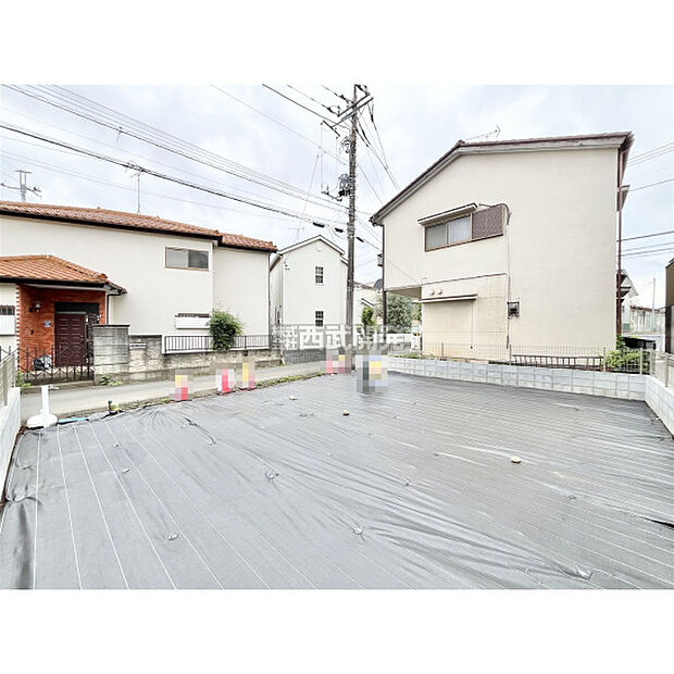 2026年6月22日撮影