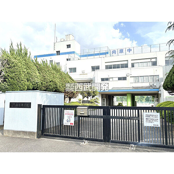 向原中学校