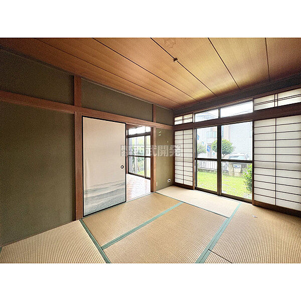 2026年6月撮影
