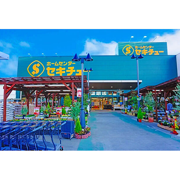 セキチュー狭山北入曽店