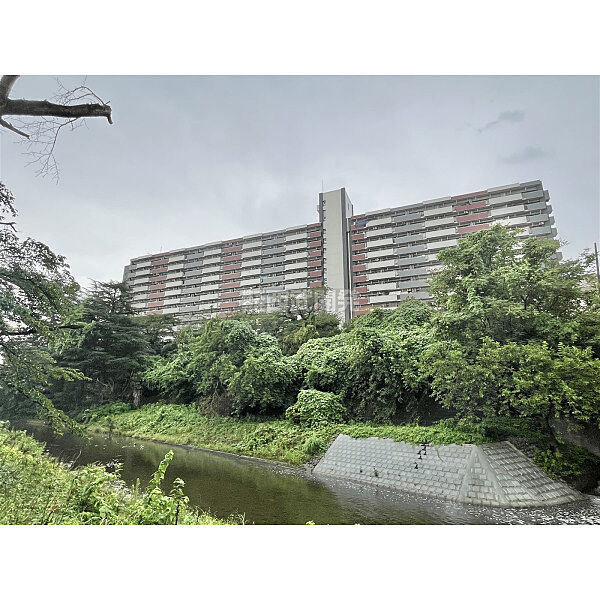 7月26日撮影