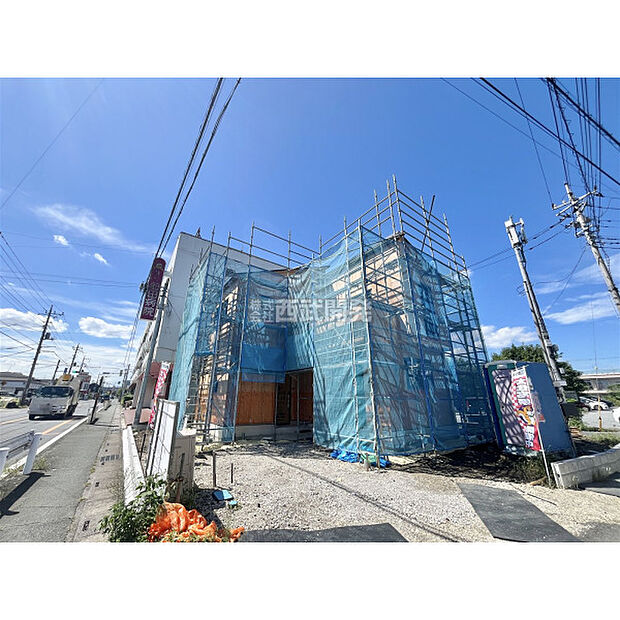 9月14日撮影