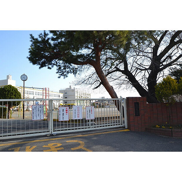 藤沢小学校