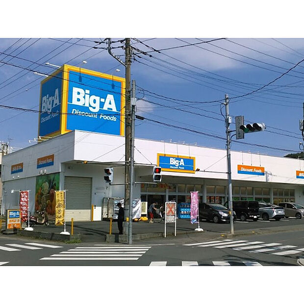 ビッグ・エー入間仏子店