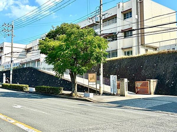 信太小学校 1290m