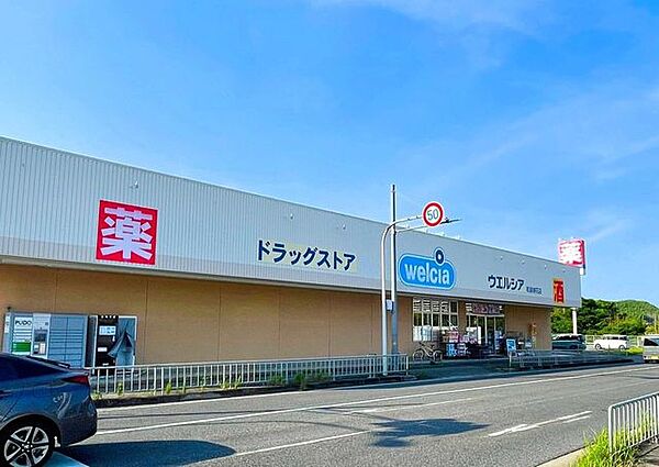ウエルシア和泉納花店 1060m