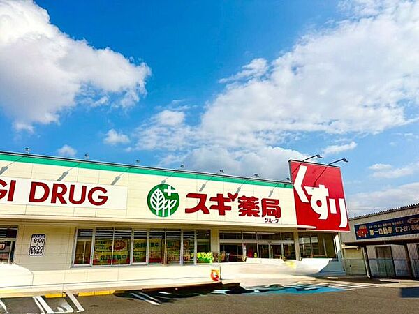スギ薬局取石店 1090m