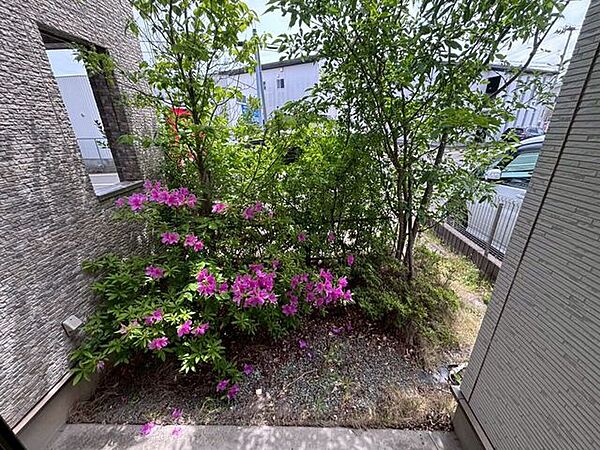 玄関脇の緑が住まいに彩りを添えてくれます