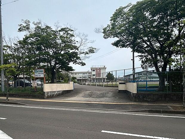 仙台市立鶴谷小学校 280m