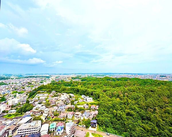 遠くまで見渡せる心地よい眺望をお楽しみいただけます♪