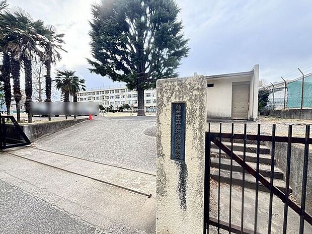 仙台市立連坊小路小学校 730m