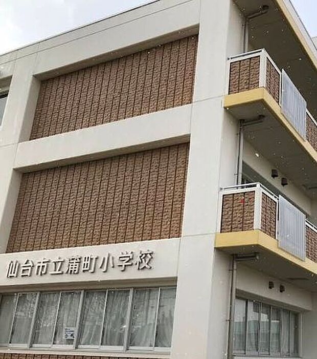 仙台市立蒲町小学校 620m