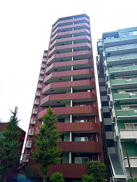 外観：313004850509