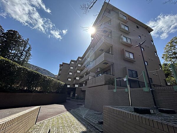 外観：314002670516