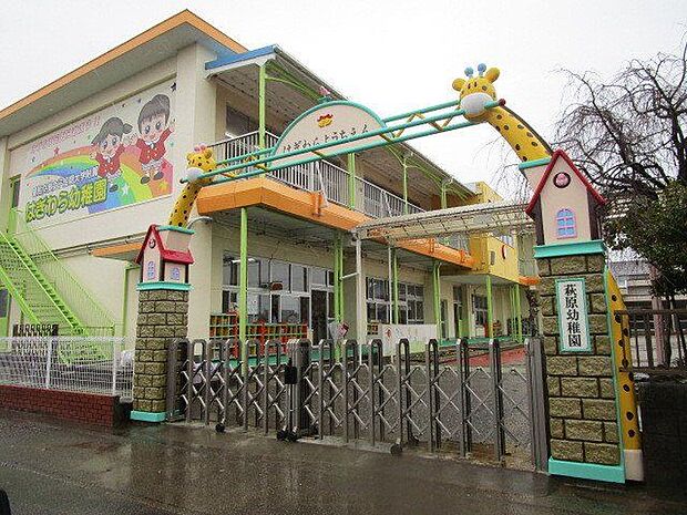 愛知文教女子短期大学附属萩原幼稚園 1100m