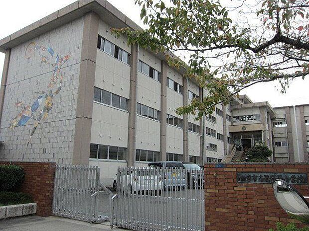 丹陽西小学校 1100m