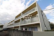 テレパレス湘南平塚 1号棟 2階 築42年1ヶ月の賃貸物件