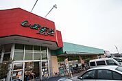 しまむらストアー駅前店（592m）